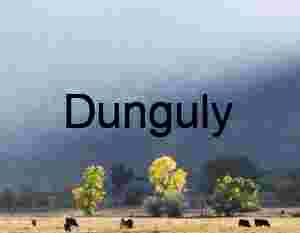 Autumn Pastoral Serenity – Black Cattle Grazing Beneath Misty Mountain Range and Golden Trees