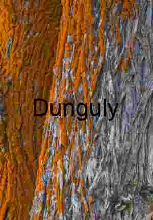 Orange Lichen on Textured Tree Bark: Vibrant Macro Detail