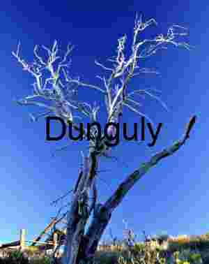 Reaching into Silence: The Skeleton Tree Beneath Blue