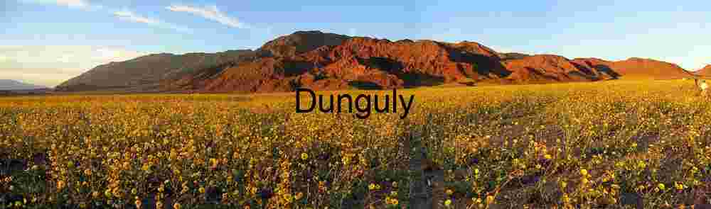 Golden Awakening: Desert Bloom at Mountain’s Edge