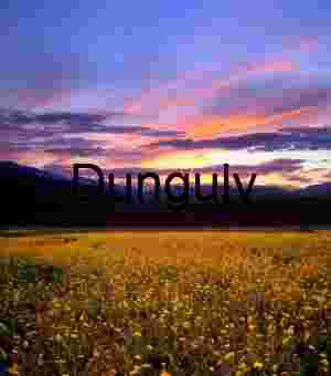 Golden Bloom Under Painted Skies