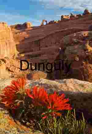 Delicate Arch with Desert Wildflowers – Iconic Utah Landscape Photography for Editorial and Stock Licensing