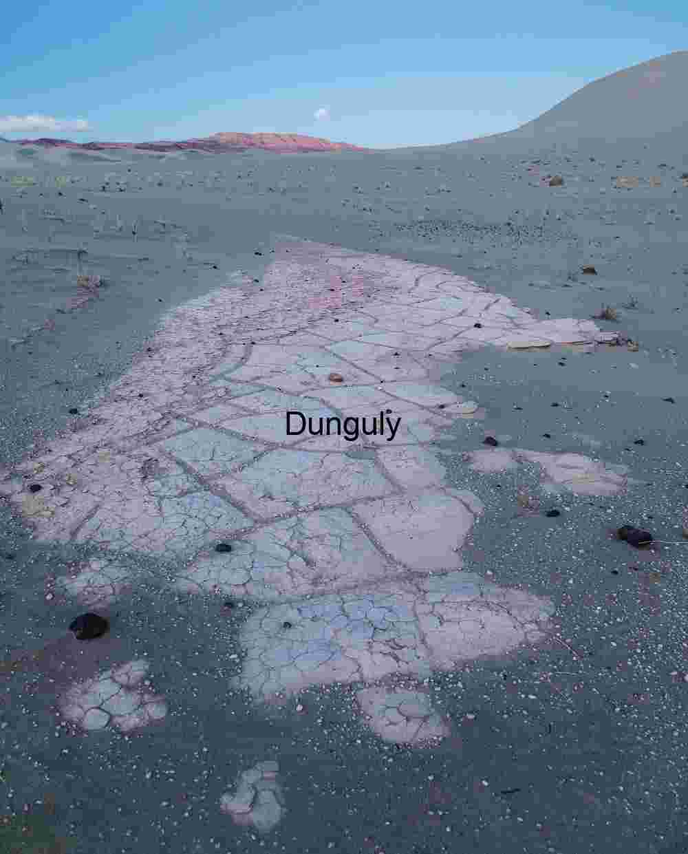 Cracked Silence: Salt Flats Beneath Desert Dunes