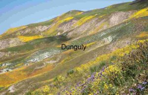 Colorful Wildflower Bloom on Temblor Range, Carrizo Plain