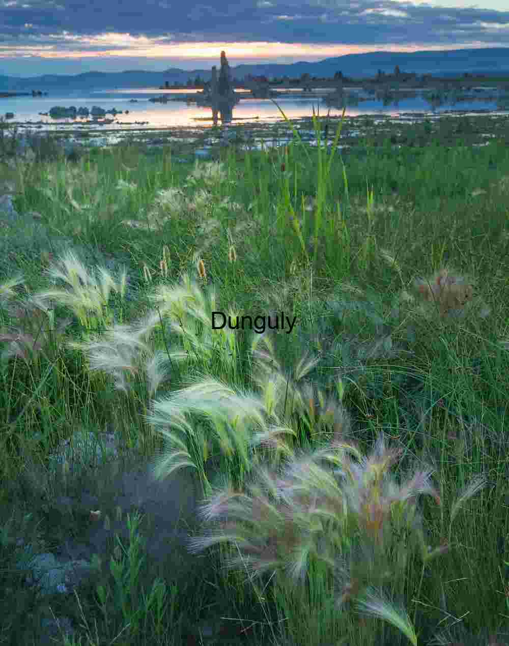 Tufa Formations and Grasses at Sunset by Reflective Waterscape
