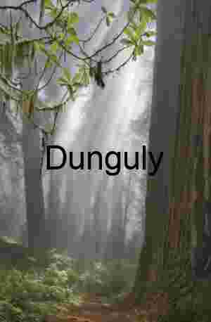 Redwood Forest Photography – Misty Light, Ancient Trees & Editorial Nature Stock Alternatives