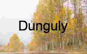 Close- Golden Autumn Road in Mist — Serene Forest Landscape Photography for Editorial & Commercial Licensing