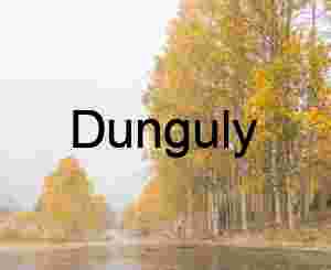 Golden Autumn Road in Mist — Serene Forest Landscape Photography for Editorial & Commercial Licensing