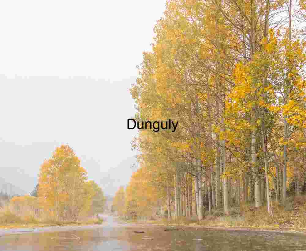 Golden Autumn Road in Mist — Serene Forest Landscape Photography for Editorial & Commercial Licensing