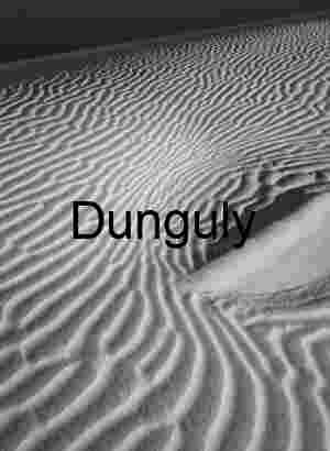 Windscript: Rhythms Etched in Sand