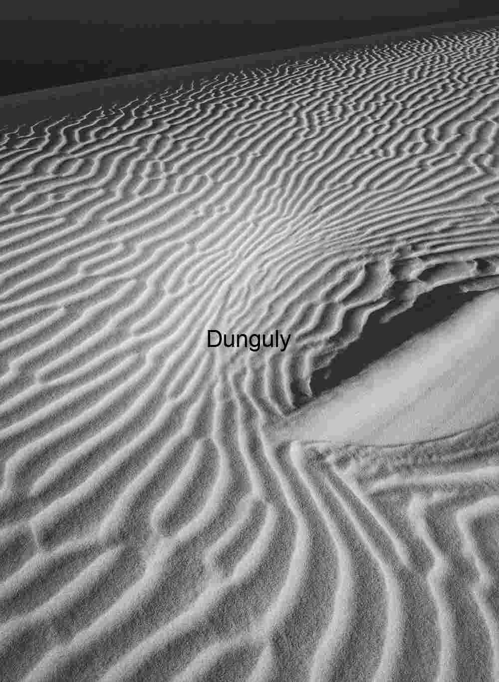 Windscript: Rhythms Etched in Sand