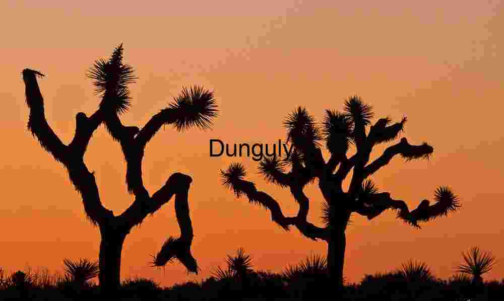 Twin Silhouettes: Joshua Trees Framed by Desert Dusk