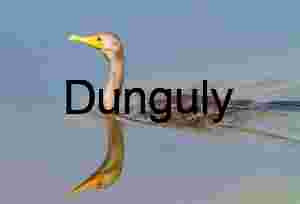 Cormorant with Turquoise Eye Reflected in Still Water