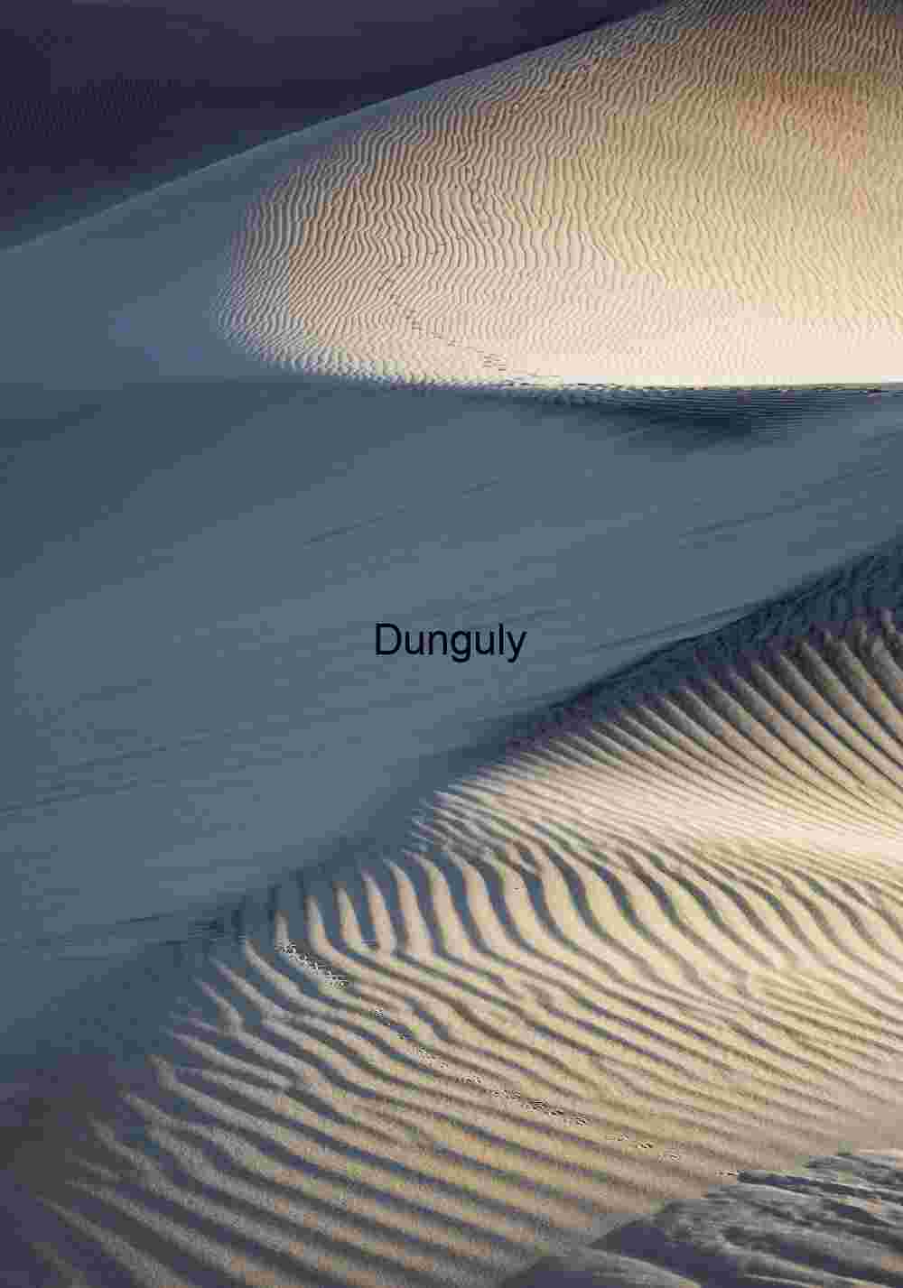 Contours of Silence: Wind-Formed Dune Geometry