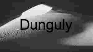 Monochrome Drift: Shadows Across Silent Dunes