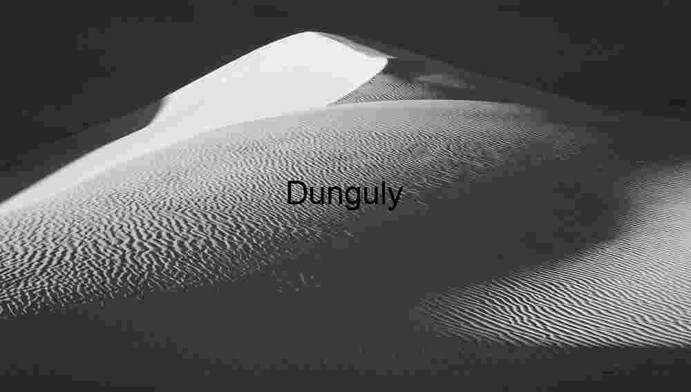 Monochrome Drift: Shadows Across Silent Dunes