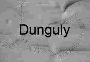 Footnotes in Sand: Traces of Avian Passage