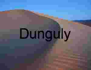 Dune Under Moonlight: Twilight Shadows on Desert Crest