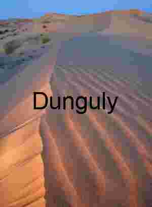 Ridge of Time: Wind-Carved Dune in Golden Light