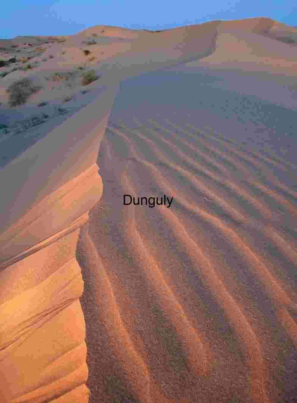 Ridge of Time: Wind-Carved Dune in Golden Light