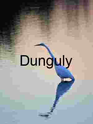 Solitary White Heron at Sunrise Reflecting in Tranquil Waters