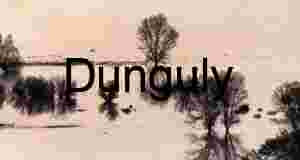 Flooded Trees Reflecting in Calm Water at Sunset