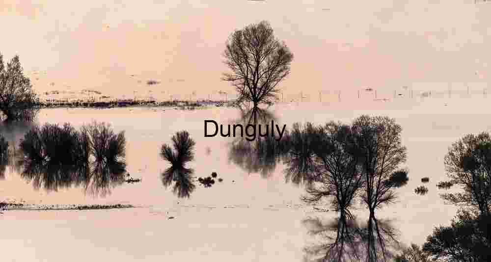 Flooded Trees Reflecting in Calm Water at Sunset