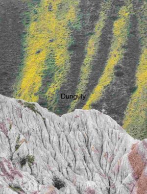 Eroded Ridge and Yellow Wildflower Stripes, Carrizo Plain