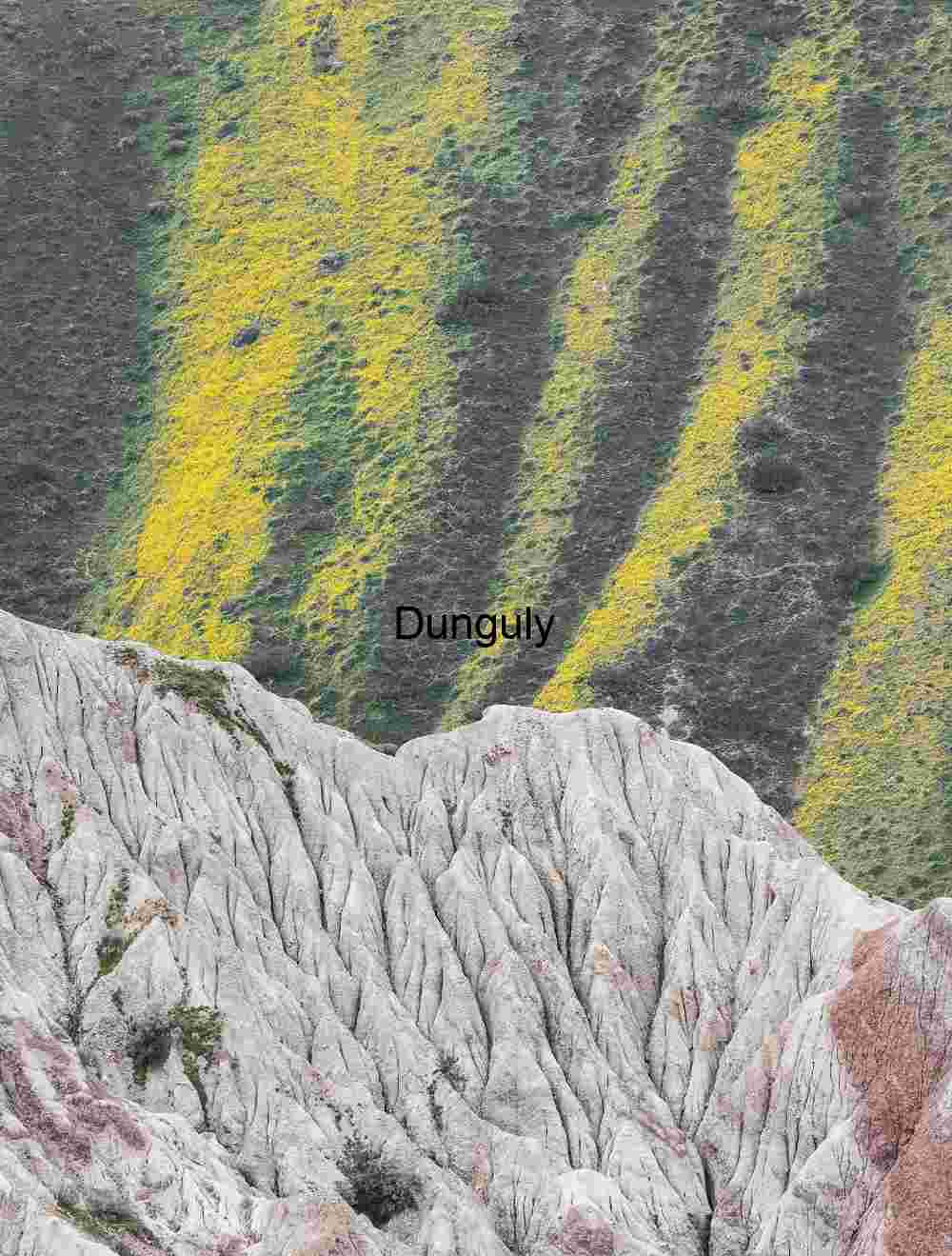 Eroded Ridge and Yellow Wildflower Stripes, Carrizo Plain