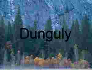 Yosemite Autumn Fog: Valley Floor, Granite and Pine