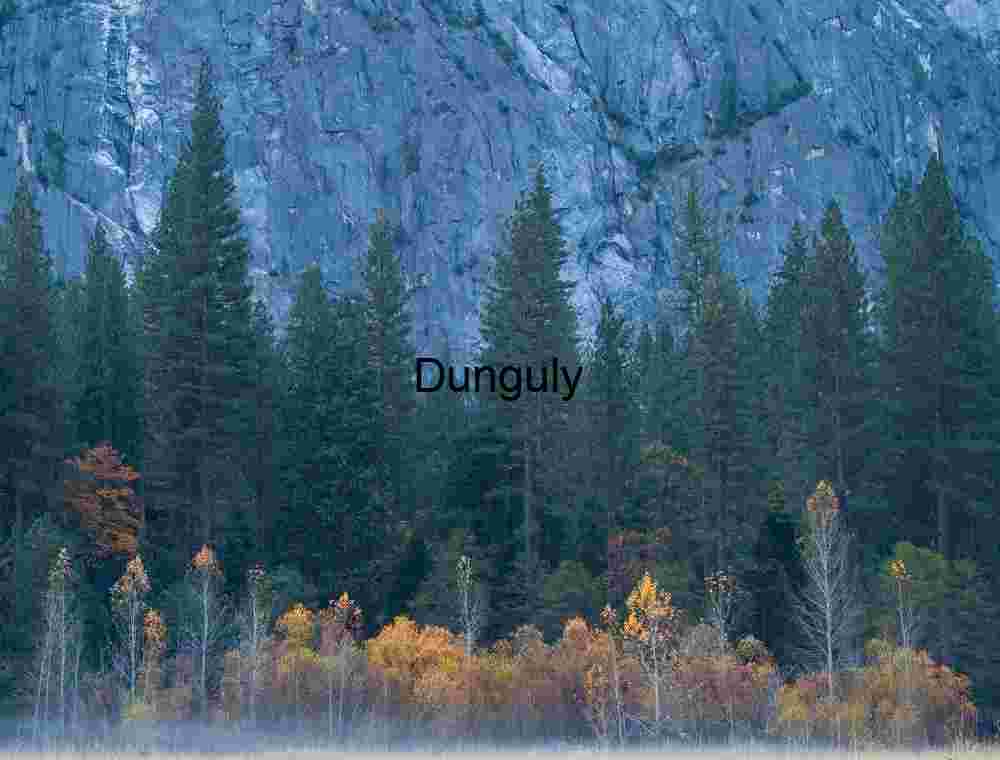 Yosemite Autumn Fog: Valley Floor, Granite and Pine