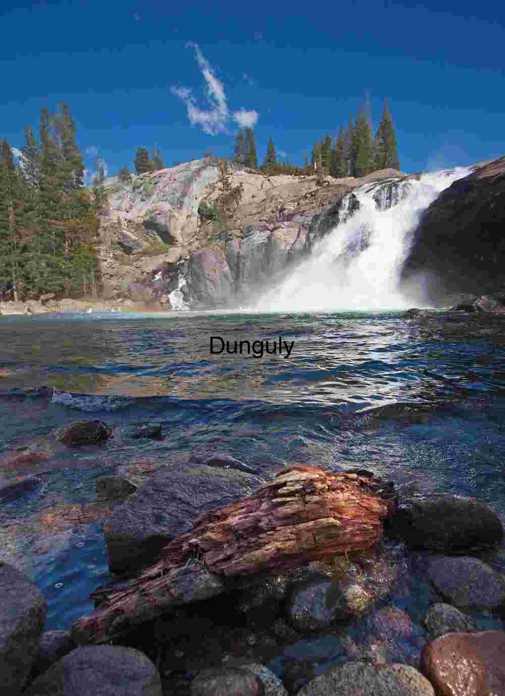 Cascade of Clarity: Waterfall in Forested Mountain Stream
