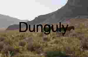 Desert Drifters: Donkeys in the Wild Frontier