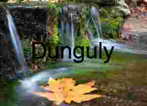 Fern Spring Yosemite: Autumn Leaf, Moss, and Flowing Water