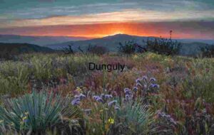 Fiddlenecks and Wildflowers at Sunset over Caliente Mountain, Carrizo Plain