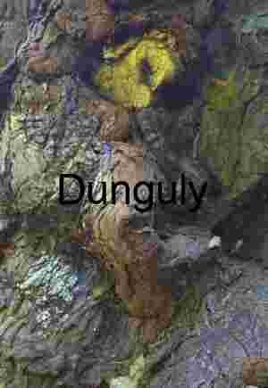 Curated Nature, Wildlife & Conceptual Photography for Stock & Editorial Licensing