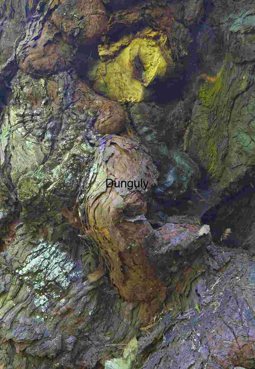 Curated Nature, Wildlife & Conceptual Photography for Stock & Editorial Licensing