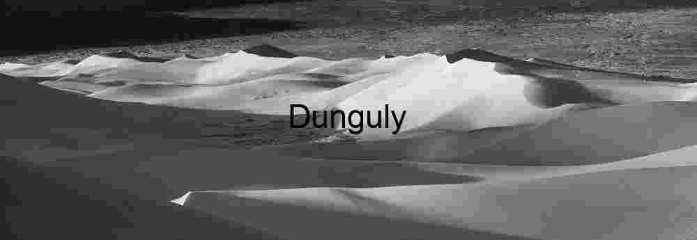 Shadow Script: Dunes in Monochrome Motion