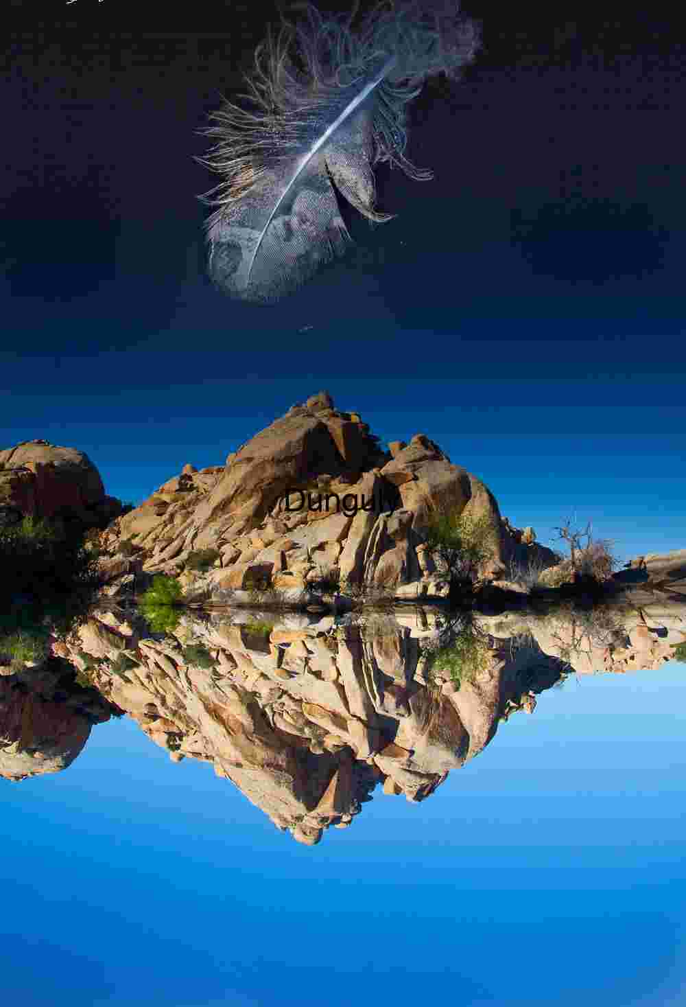 Weightless Reflection: Feather Above a Mirrored Desert Monolith