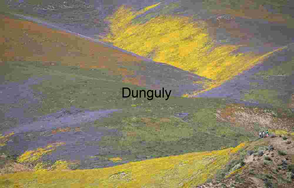 Wildflower Patterns on Temblor Range, Carrizo Plain National Monument