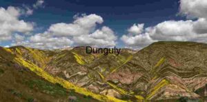 Fluffy Clouds over Striated Yellow Hills, Elkhorn Pass, Carrizo Plain