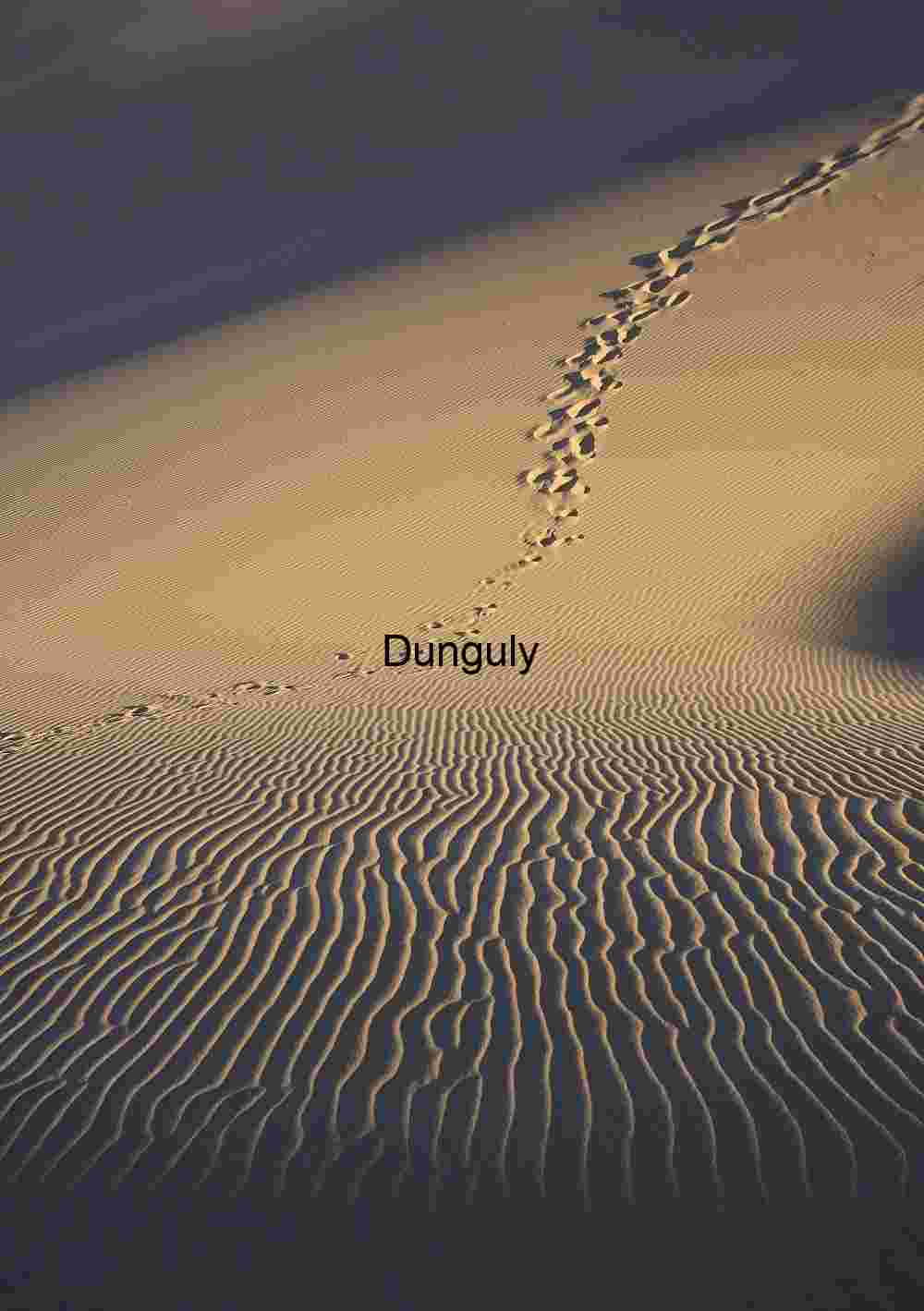 Footprints Across Rippled Desert Sand at Golden Hour