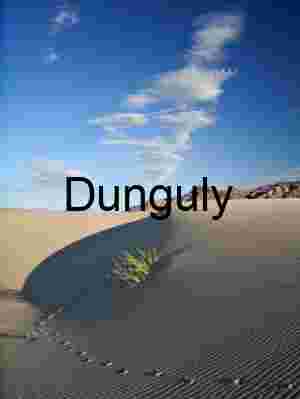 Trace and Terrain: Footsteps Through Wind-Rippled Dunes