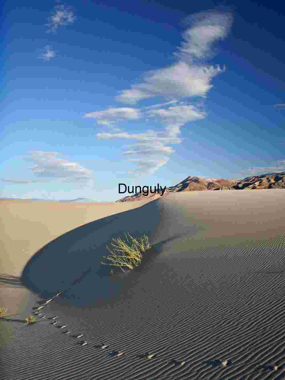 Trace and Terrain: Footsteps Through Wind-Rippled Dunes