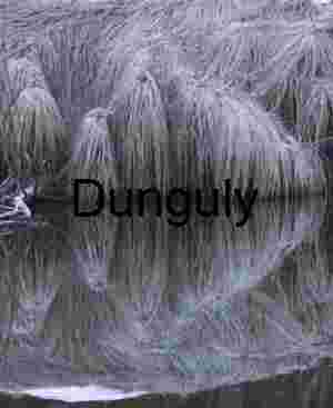 Frosted Winter Grass: Merced River Reflection and Texture