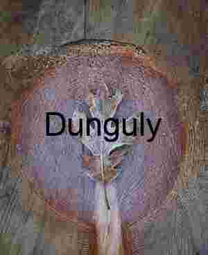 Frosted Oak Leaf: Focus on Tree Rings and Winter Texture