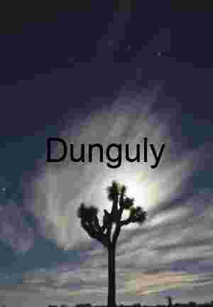 Lunar Halo: Joshua Tree Silhouette Beneath a Streaked Night Sky