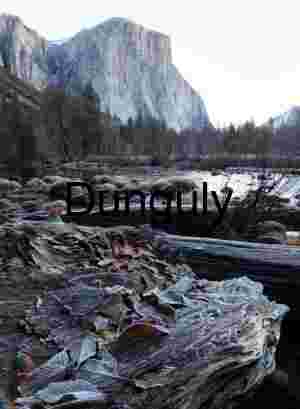 Winter Gates of the Valley: Frosted Wood and El Capitan