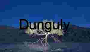 Rooted Silence: A Lone Tree Against Mountain Shadows