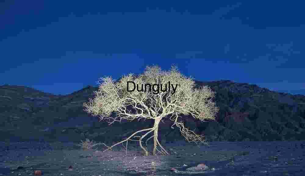 Rooted Silence: A Lone Tree Against Mountain Shadows